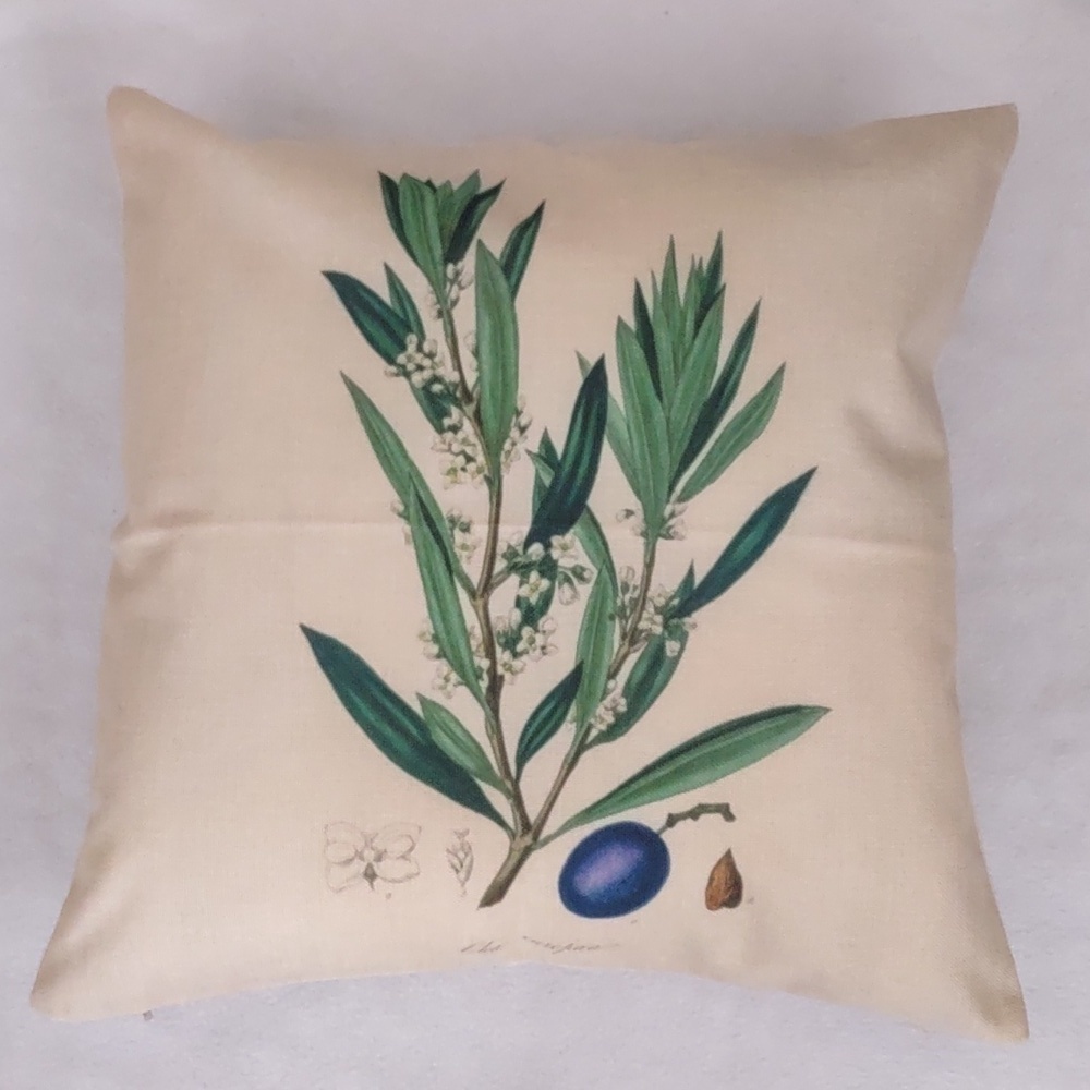 New SET Fruits & Veggies Accent Pillow Case